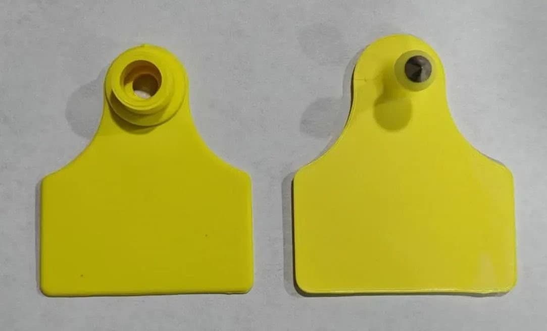 VF101&VM406