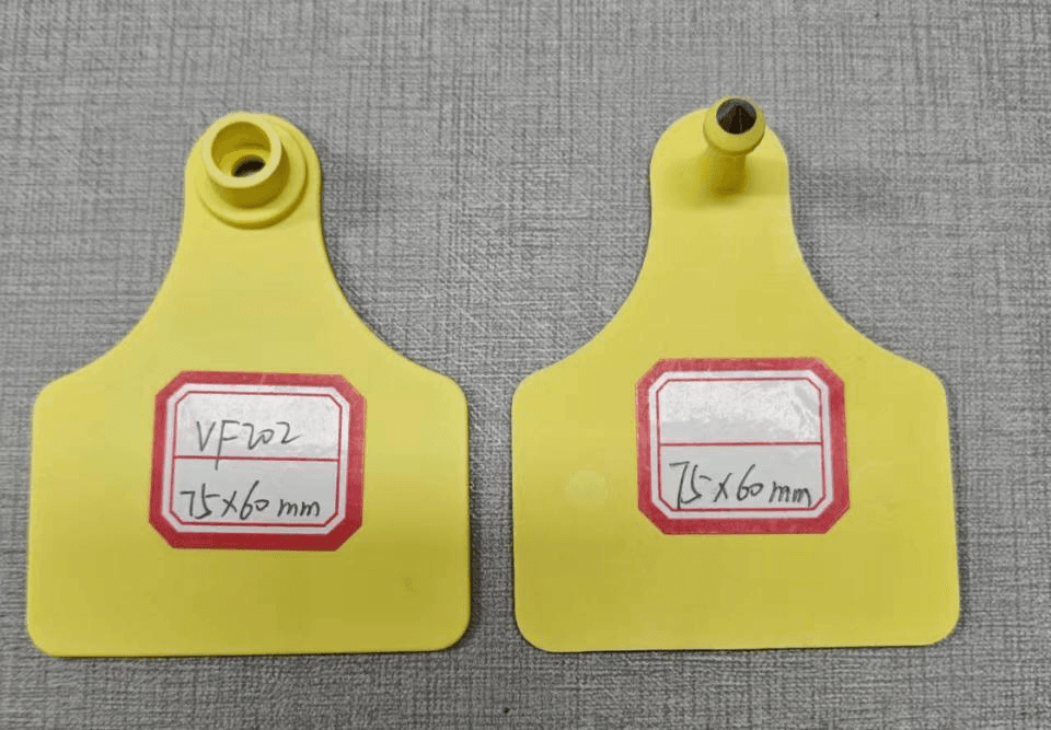 VF202&VM204